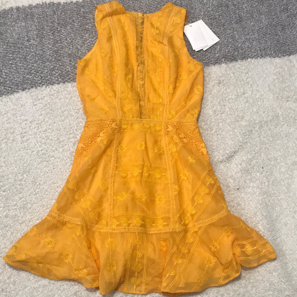 The Jetset Diaries - XS